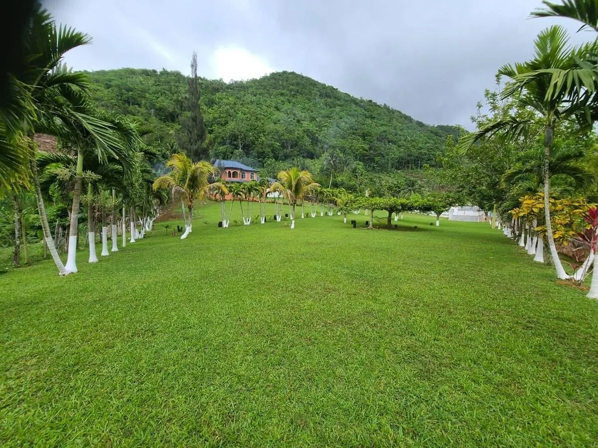 Casa de Férias Paradise Palms Estate Newmarket